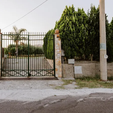 Don Pe * 罗切拉伊奥尼卡